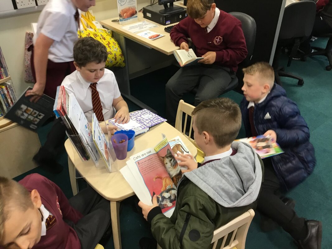 Image of Y6 Library Visit
