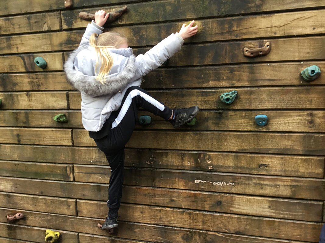 Image of Year 4 Whinlatter Forest Trip 2020 Part 2