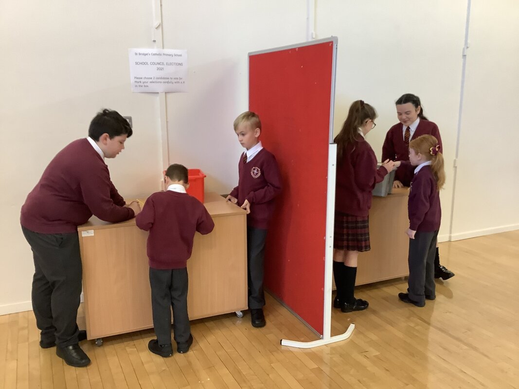 Image of School Council Election in Year 2