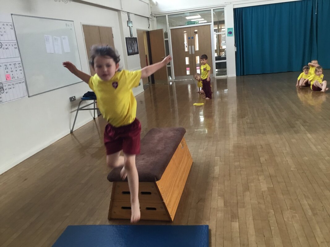 Image of Gymnastics sessions with a coach