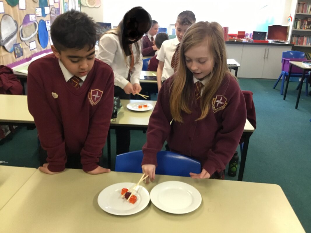 Image of Year 5 Science Experiment