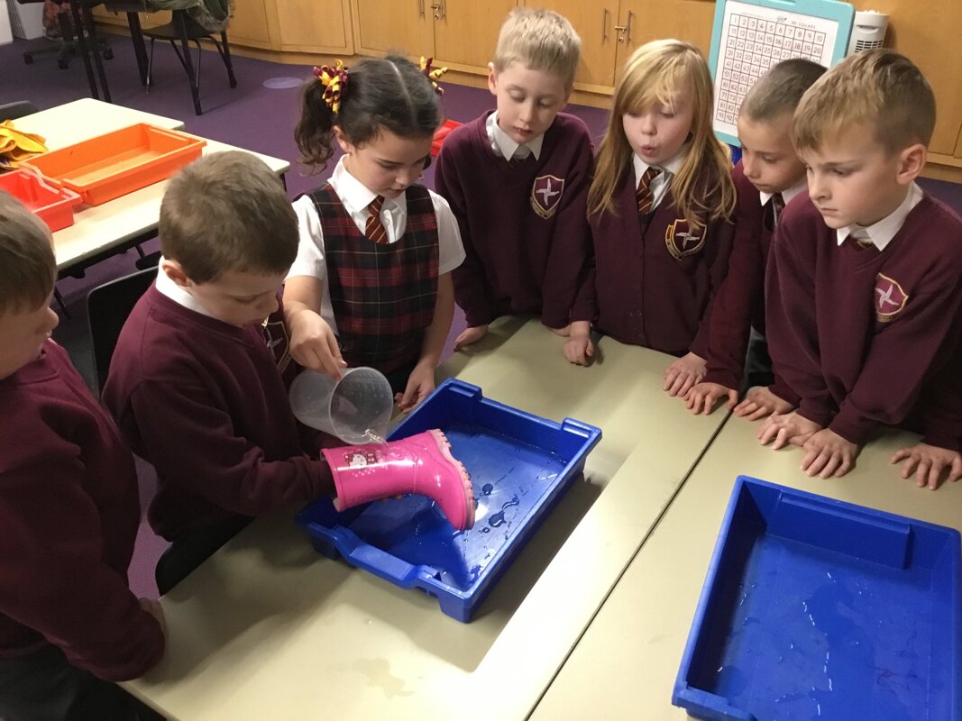 Image of Year 2 Science Investigation