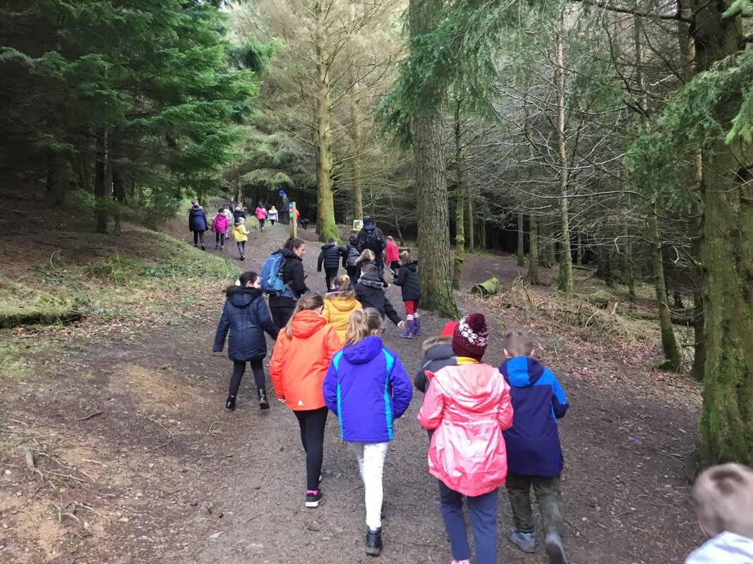 Image of Year 4 Whinlatter Forest Trip 2020