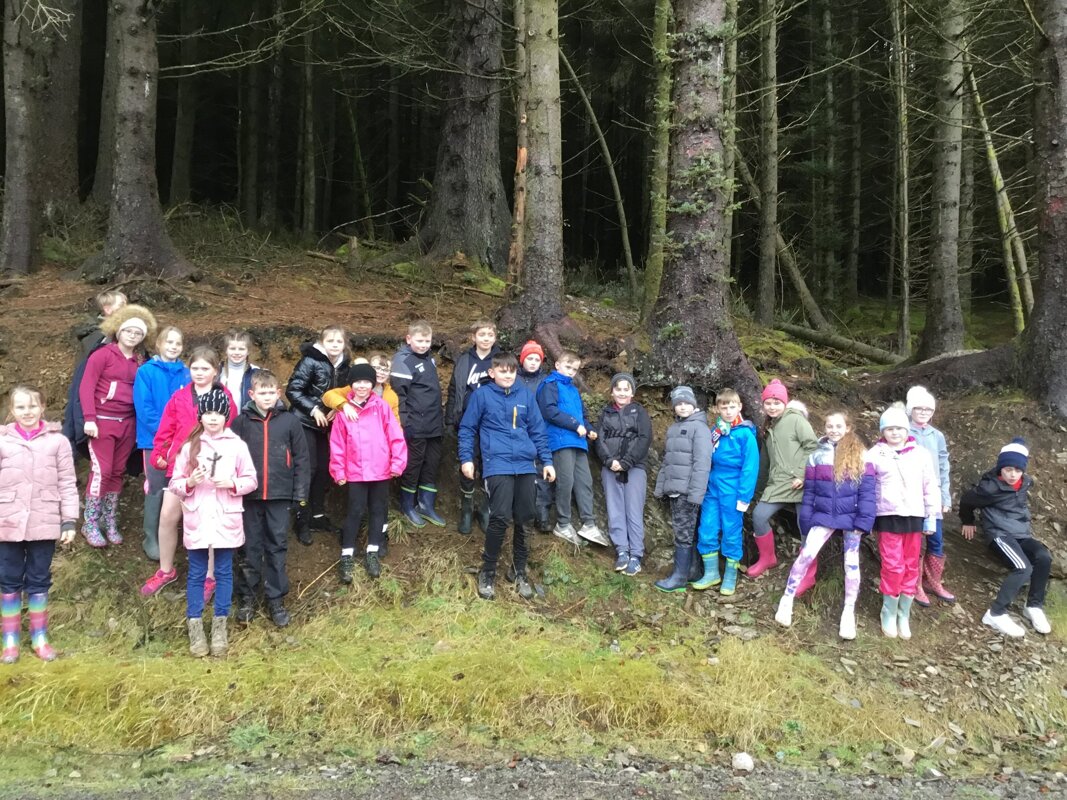 Image of Y5 Whinlatter