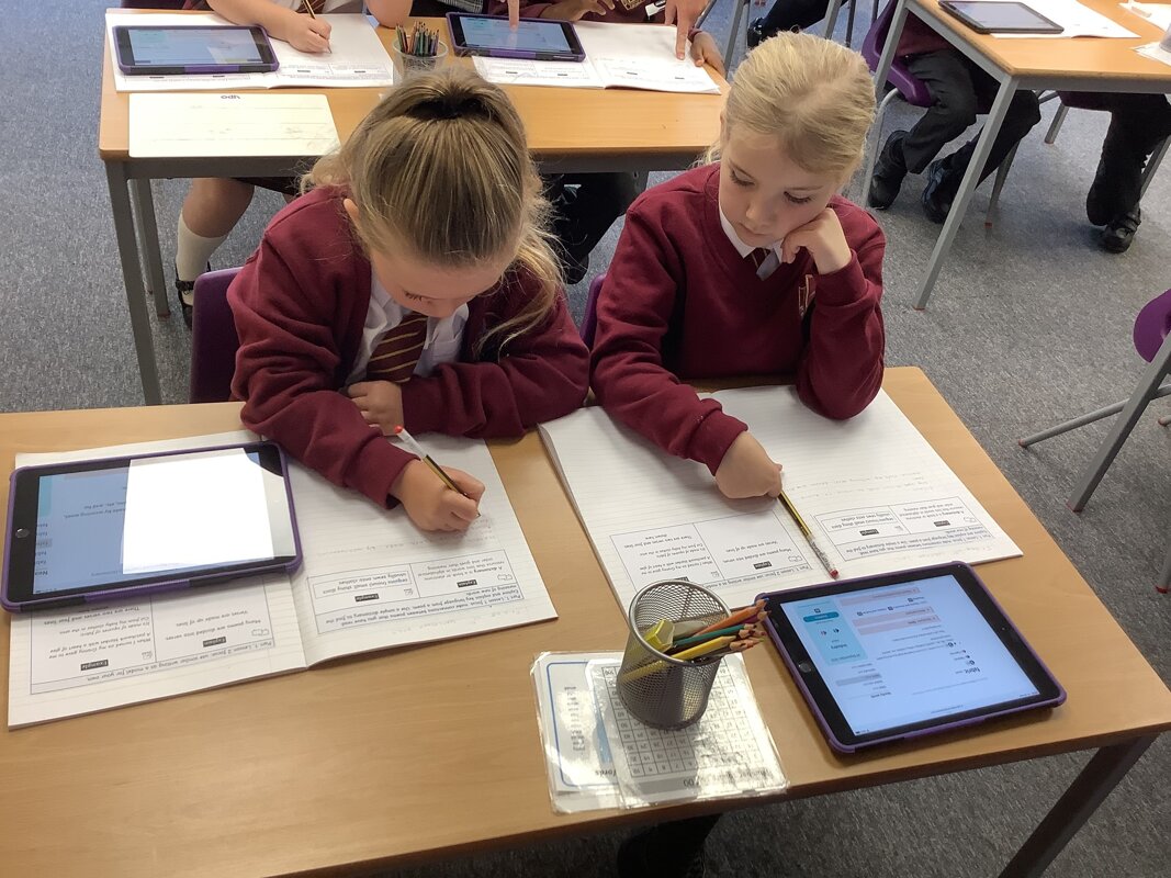 Image of Year 2 Dictionary Detectives