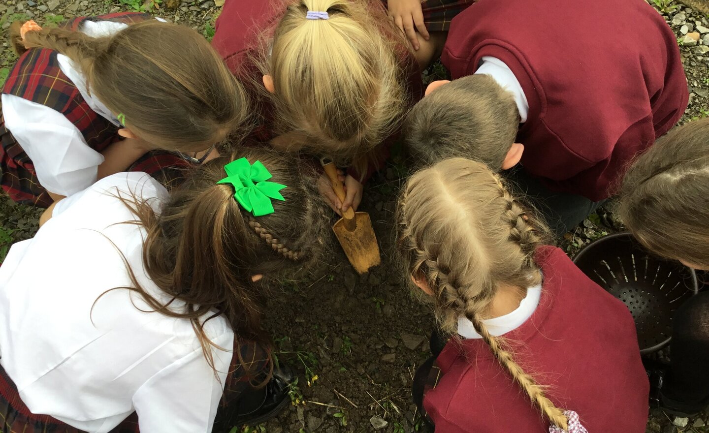 Image of Year 3 wanted to know, Is soil just dirt?