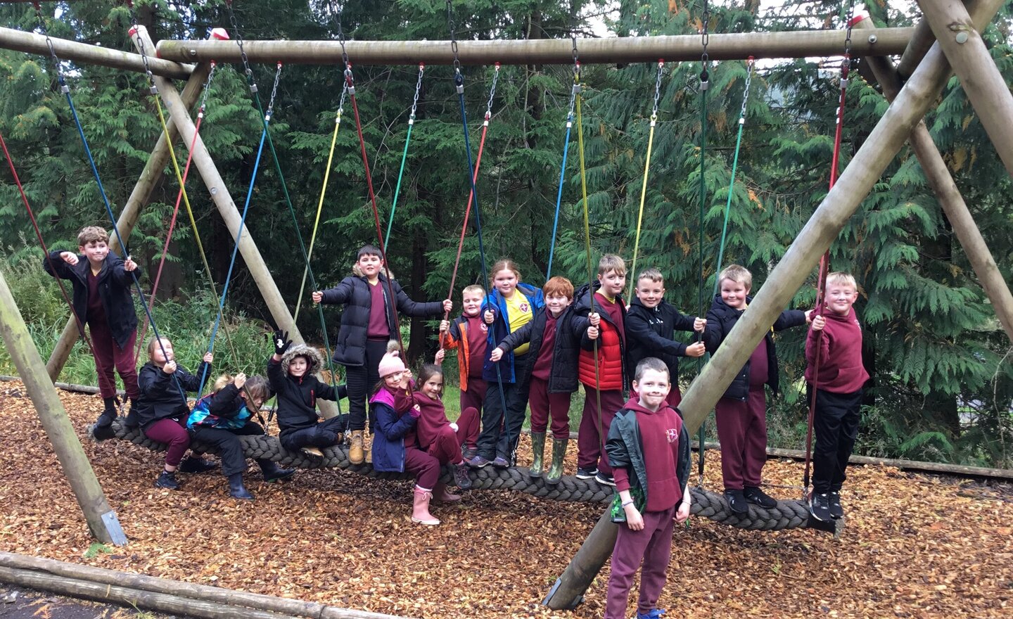 Image of Active Fun at Whinlatter Forest 