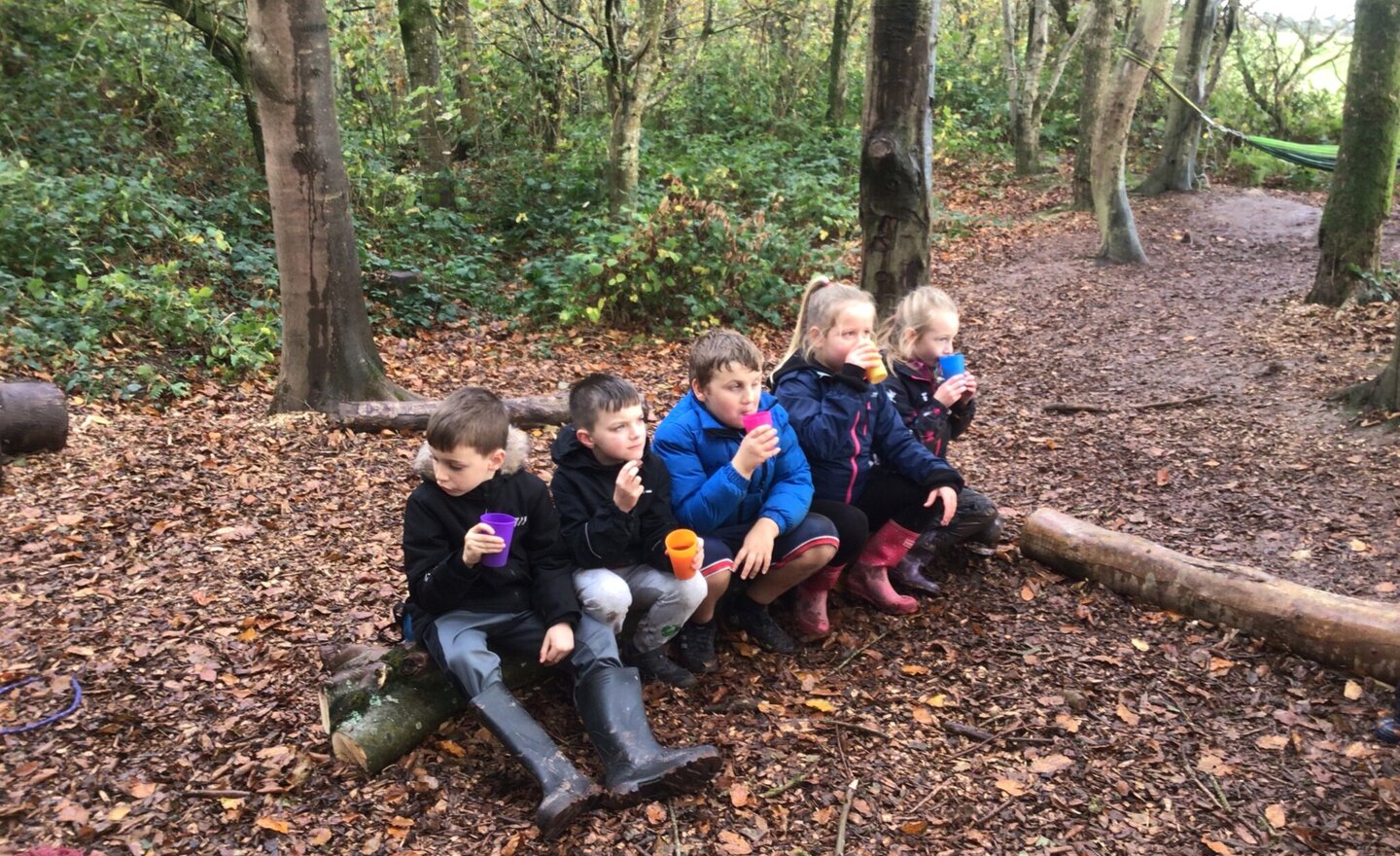 Image of Year 3 enjoyed their first Forest School