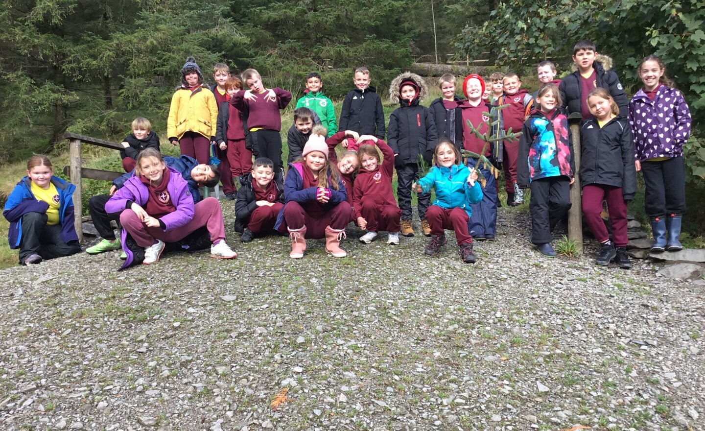 Image of Living things in their Habitat at Whinlatter Forest 