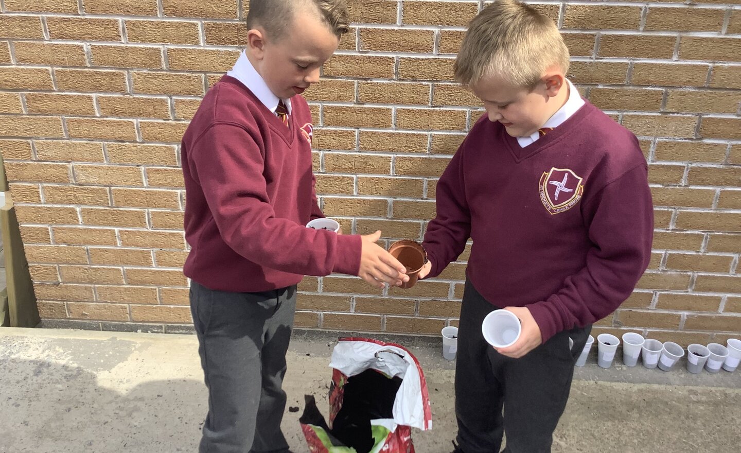 Image of Planting seeds in Year 2