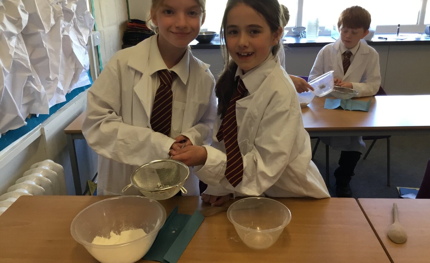 Image of Year 5 Working Scientifically