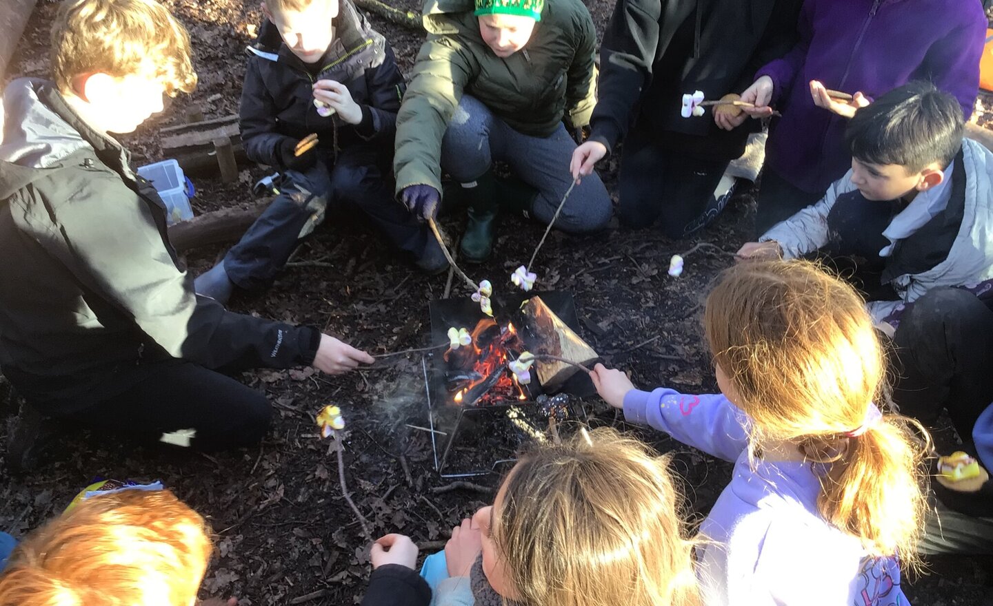 Image of S’mores Round The Fire at Forest School